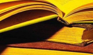 网络用词笋是什么意思 网络用词笋解释