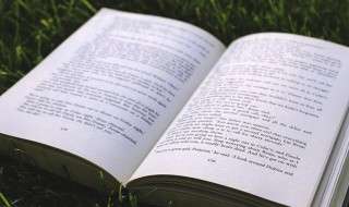 竹贵有节人贵有志什么意思 竹贵有节人贵有志解释