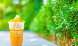 七分甜寒天是什么 七分甜寒天简单介绍