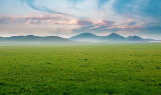 环保局和生态环境局有什么区别 环保局和生态环境局区别有哪些