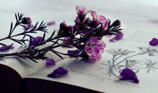 卡尔松不等式是什么 卡尔松不等式介绍