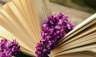 弹冠相庆和额手称庆的区别 额手称庆与弹冠相庆的意思分别是什么