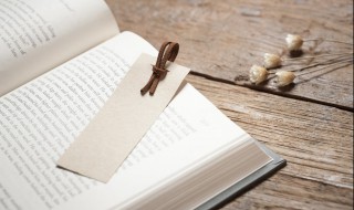 梅花魂中的魂指什么 梅花魂相关介绍