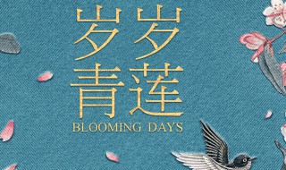 岁岁青莲什么时候上映 岁岁青莲简介