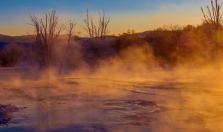 蒸腾作用是什么 蒸腾作用简单介绍