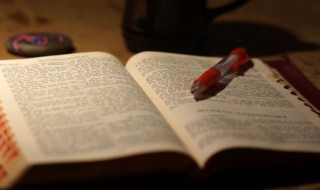 带和戴的区别及用法 带和戴的介绍