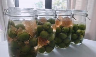 青梅酒泡多长时间最好喝 青梅酒要泡多久才能喝