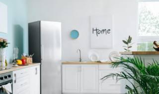 冰霜怎么清洗最干净 清洗冰箱冰霜的窍门