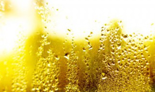 秘鲁沿岸为什么易形成雾雾期是什么时候 秘鲁沿岸易形成雾雾期为什么