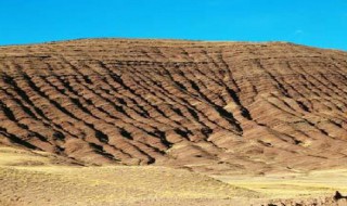 引起水土流失的原因是什么 引起水土流失的原因