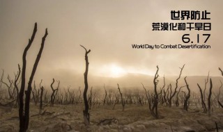 世界防治荒漠化和干旱日是 世界防治荒漠化和干旱日介绍