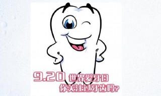 爱牙日的宣传语 关于爱牙日的宣传语