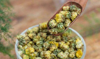 决明子菊花茶功效可以长期喝吗 决明子菊花茶能不能长期喝