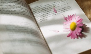 的得地的用法口诀怎么读 的得地的用法口诀如何读