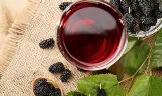 新鲜桑葚泡酒多久可以喝呢 新鲜桑葚泡酒多长时间可以喝
