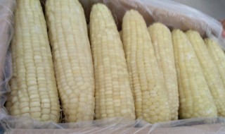冷冻玉米可以直接煮吗 冷冻玉米可以直接放在锅煮吗