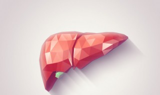 护肝食物 护肝食物有哪些