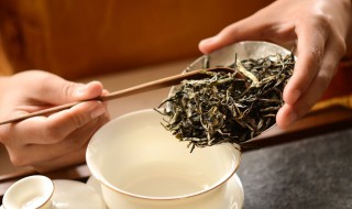 普洱茶泡法的正确方法 普洱茶泡法分享