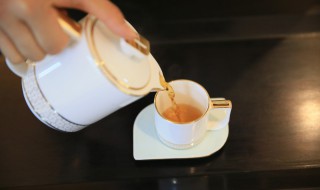 大红袍的正确冲泡方法 大红袍的正确冲泡方法分享