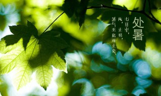 处暑的谚语 关于处暑的谚语