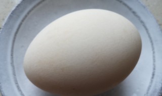 鹅蛋怎么清洗比较干净 怎么清洗鹅蛋