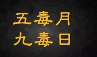 九毒日注意事项 九毒日有什么注意事项