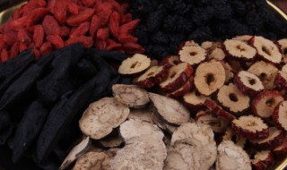 人参五宝茶什么人不能喝 人参五宝茶的作用