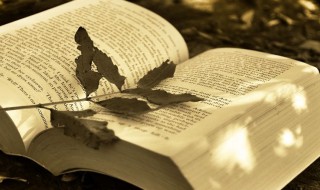 商务bd是什么意思呢 商务bd解释