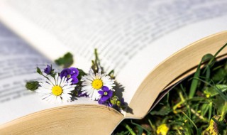 余波怎么解释 余波什么意思