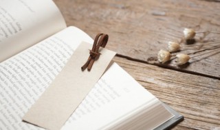 十四行诗是什么意思 十四行诗介绍