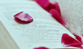 academic什么意思 academic的翻译