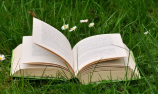 moreover是什么意思啊 moreover的中文翻译