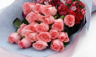 19朵粉玫瑰代表什么意思 19朵粉玫瑰都代表什么意思