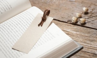 有位佳人在水一方是什么意思 有位佳人在水一方的出处