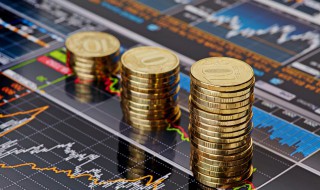 中新股是什么意思 中新股具体是什么意思