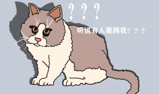 踢猫效应是什么意思 踢猫效应介绍