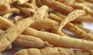 太子参过期了还能吃吗 太子参过期了还能不能吃