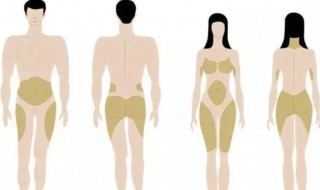 肌肉和肥肉哪个密度大 是肌肉的密度大还是脂肪的密度大