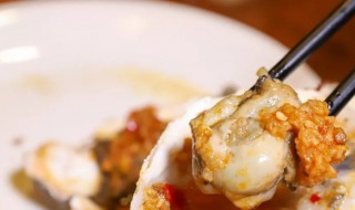 跟扇贝差不多的叫什么 扇贝介绍