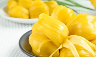 木菠萝就是菠萝蜜吗 关于木菠萝就是菠萝蜜吗