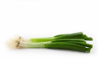 哪里的大葱最出名 关于哪里的大葱最出名