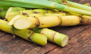 甘蔗什么时候收获最好 甘蔗收获的季节