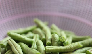 豆角为什么要掐尖 豆角介绍