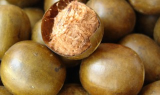 罗汉果为什么叫罗汉果 罗汉果介绍