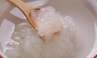 一只完整的雪蛤吃几次 一只雪蛤分几次吃最好