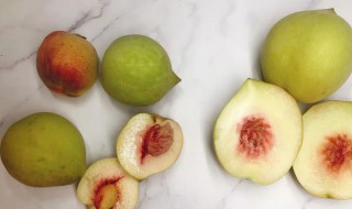 桃子核里的仁能吃吗 桃子介绍