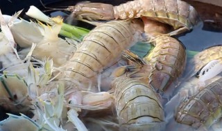 你是皮皮虾是什么意思 你是皮皮虾意思是什么