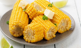 紫薯和玉米吃了会胖吗 紫薯和玉米会不会胖呢