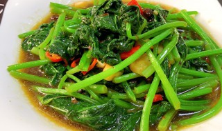 红薯和空心菜可以一起吃吗 红薯和空心菜能不能一起吃