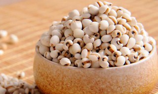 长了虫的薏米还能用吗 生虫的薏米可不可以吃了